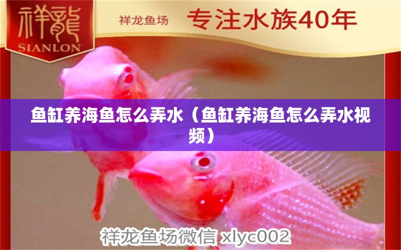 魚缸養(yǎng)海魚怎么弄水（魚缸養(yǎng)海魚怎么弄水視頻） 量子養(yǎng)魚技術(shù)