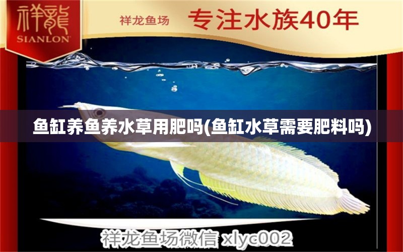 魚缸養(yǎng)魚養(yǎng)水草用肥嗎(魚缸水草需要肥料嗎) 肥料