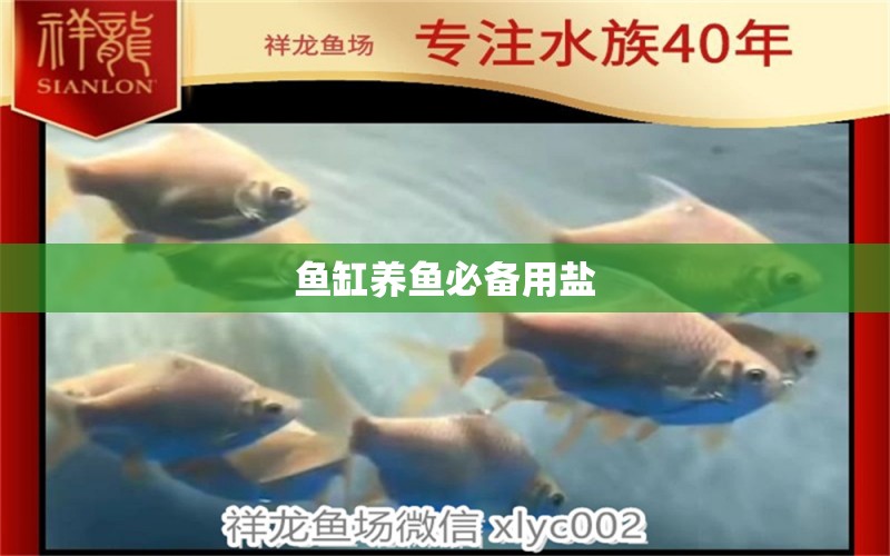 魚缸養(yǎng)魚必備用鹽 祥龍魚場