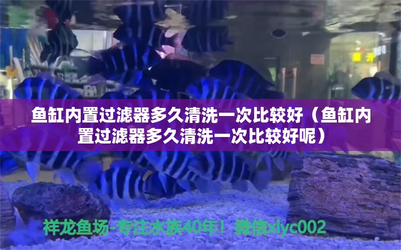 魚缸內(nèi)置過濾器多久清洗一次比較好（魚缸內(nèi)置過濾器多久清洗一次比較好呢）