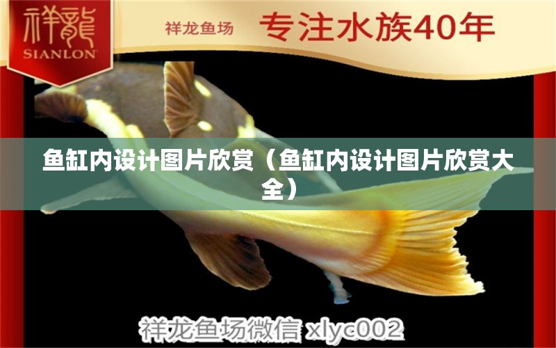 魚缸內(nèi)設(shè)計(jì)圖片欣賞（魚缸內(nèi)設(shè)計(jì)圖片欣賞大全） 潛水泵