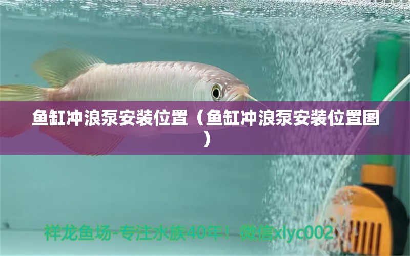 魚缸沖浪泵安裝位置（魚缸沖浪泵安裝位置圖）