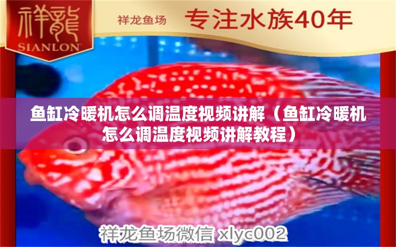 魚(yú)缸冷暖機(jī)怎么調(diào)溫度視頻講解（魚(yú)缸冷暖機(jī)怎么調(diào)溫度視頻講解教程）