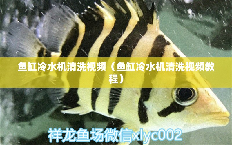 魚缸冷水機(jī)清洗視頻（魚缸冷水機(jī)清洗視頻教程）