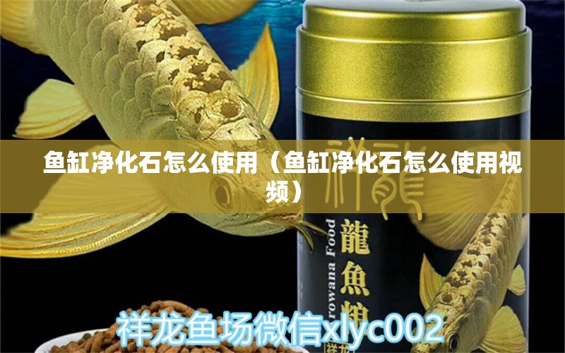 魚缸凈化石怎么使用（魚缸凈化石怎么使用視頻）