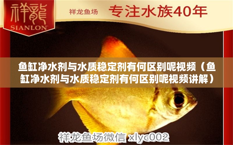 魚(yú)缸凈水劑與水質(zhì)穩(wěn)定劑有何區(qū)別呢視頻（魚(yú)缸凈水劑與水質(zhì)穩(wěn)定劑有何區(qū)別呢視頻講解）