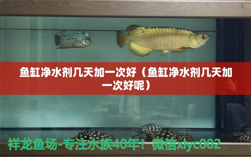 魚缸凈水劑幾天加一次好（魚缸凈水劑幾天加一次好呢） 祥龍水族醫(yī)院