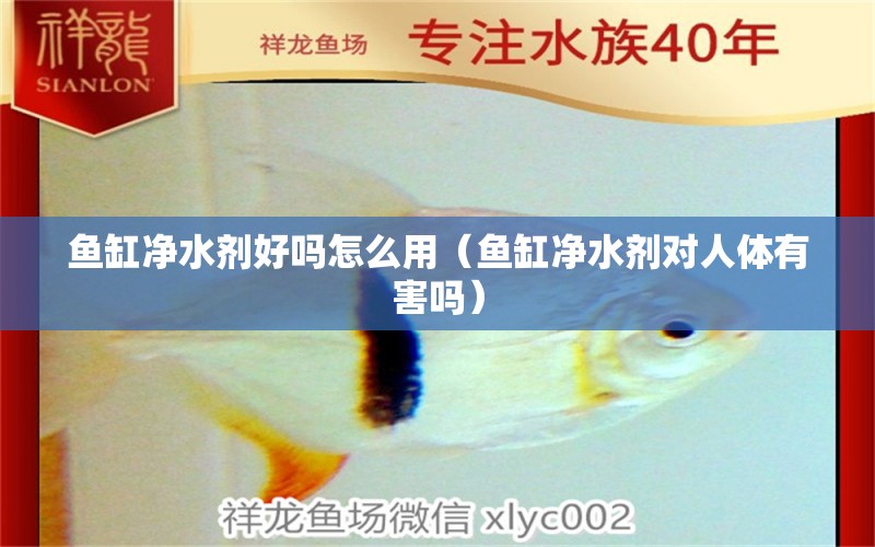 魚缸凈水劑好嗎怎么用（魚缸凈水劑對人體有害嗎） 金龍魚糧