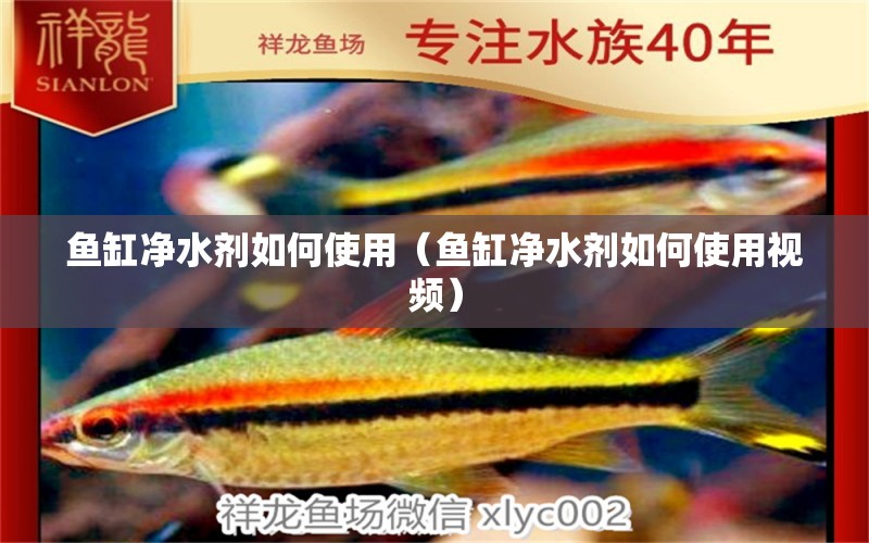 魚缸凈水劑如何使用（魚缸凈水劑如何使用視頻） 除藻劑