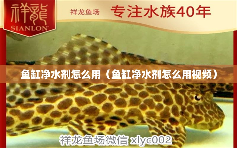 魚缸凈水劑怎么用（魚缸凈水劑怎么用視頻） 祥龍水族醫(yī)院