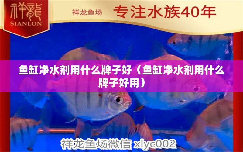 魚缸凈水劑用什么牌子好（魚缸凈水劑用什么牌子好用） 可麗愛魚缸