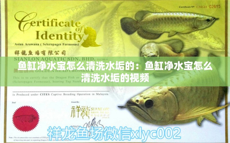 魚缸凈水寶怎么清洗水垢的：魚缸凈水寶怎么清洗水垢的視頻