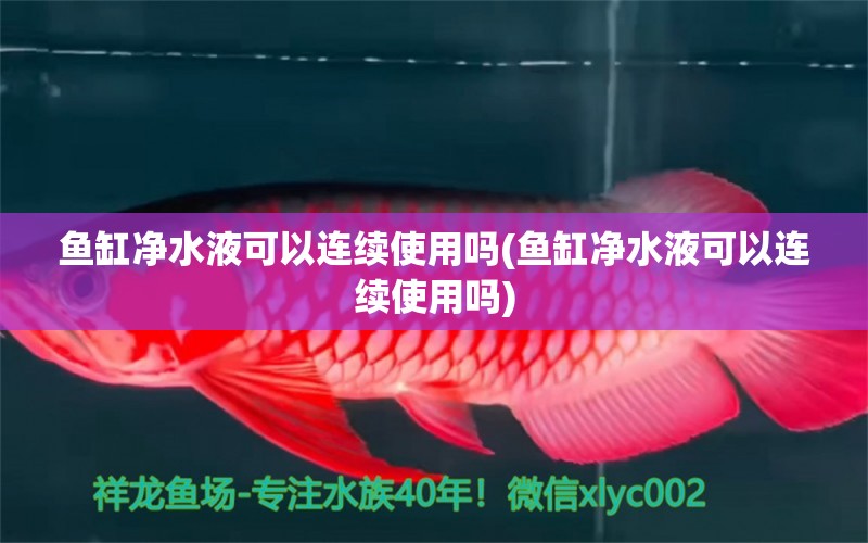 魚缸凈水液可以連續(xù)使用嗎(魚缸凈水液可以連續(xù)使用嗎) 黑帝王魟魚