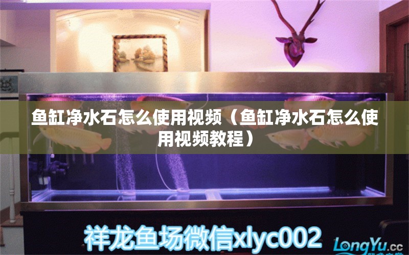 魚缸凈水石怎么使用視頻（魚缸凈水石怎么使用視頻教程） 其他品牌魚缸