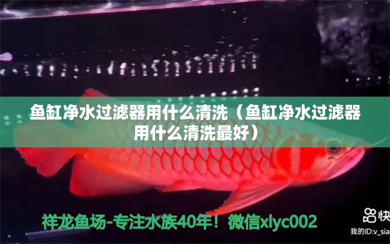 魚(yú)缸凈水過(guò)濾器用什么清洗（魚(yú)缸凈水過(guò)濾器用什么清洗最好） 祥龍水族醫(yī)院