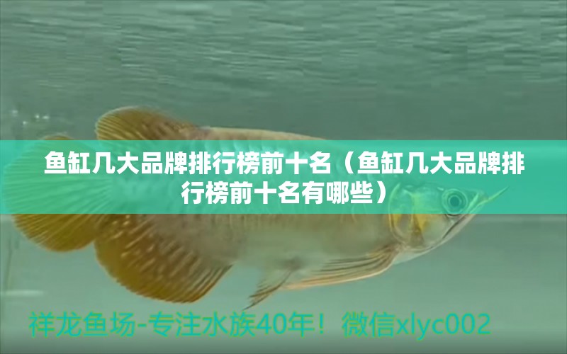 魚(yú)缸幾大品牌排行榜前十名（魚(yú)缸幾大品牌排行榜前十名有哪些）