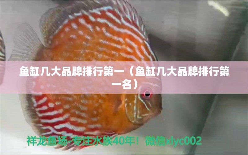 魚缸幾大品牌排行第一（魚缸幾大品牌排行第一名）