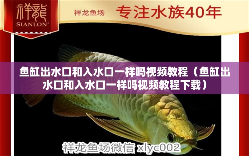 魚缸出水口和入水口一樣嗎視頻教程（魚缸出水口和入水口一樣嗎視頻教程下載） 祥龍水族醫(yī)院