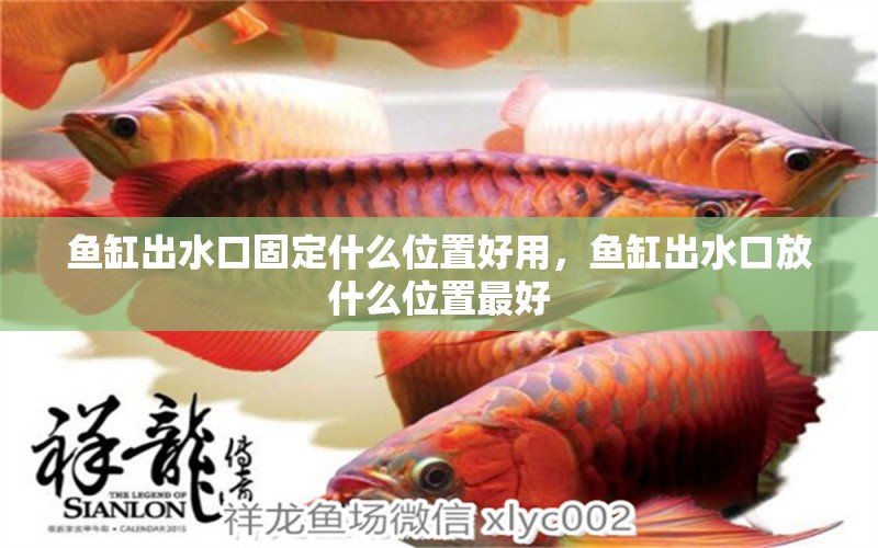 魚(yú)缸出水口固定什么位置好用，魚(yú)缸出水口放什么位置最好 祥禾Super Red紅龍魚(yú)