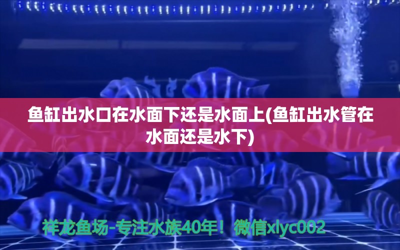 魚缸出水口在水面下還是水面上(魚缸出水管在水面還是水下) 電鰻 第1張