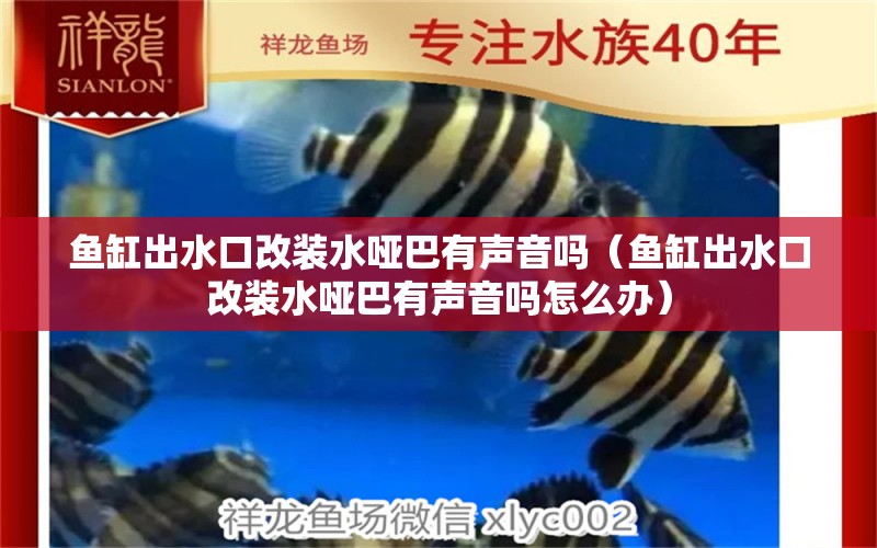 魚缸出水口改裝水啞巴有聲音嗎（魚缸出水口改裝水啞巴有聲音嗎怎么辦）