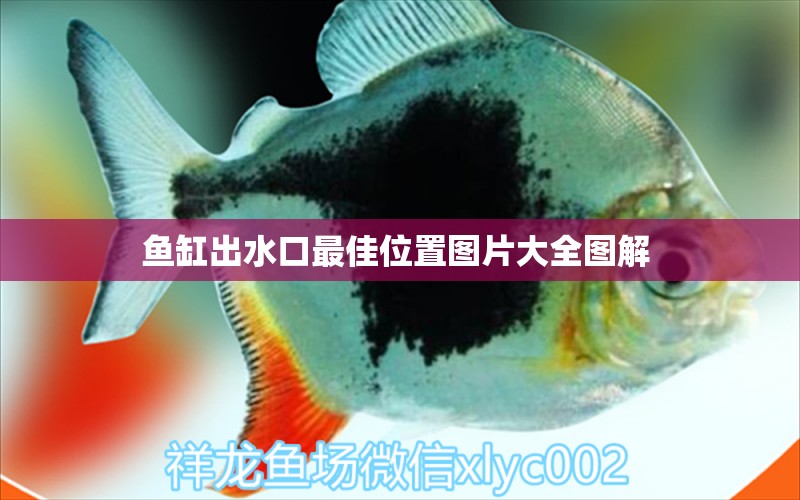 魚缸出水口最佳位置圖片大全圖解 