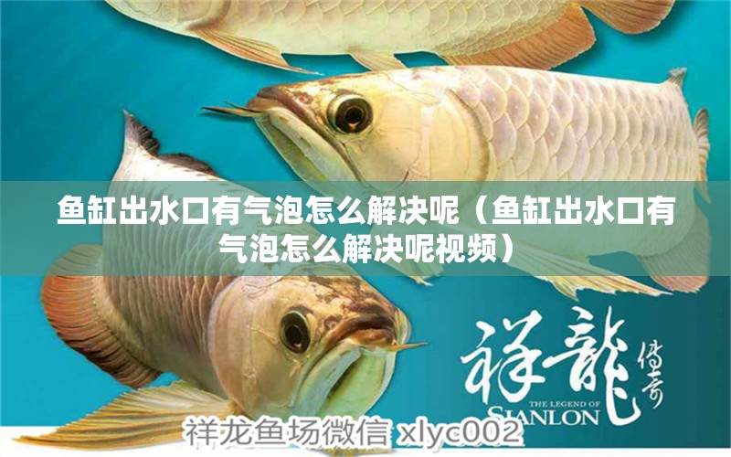 魚缸出水口有氣泡怎么解決呢（魚缸出水口有氣泡怎么解決呢視頻） 觀賞魚市場（混養(yǎng)魚）