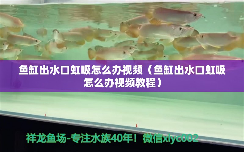 魚缸出水口虹吸怎么辦視頻（魚缸出水口虹吸怎么辦視頻教程）