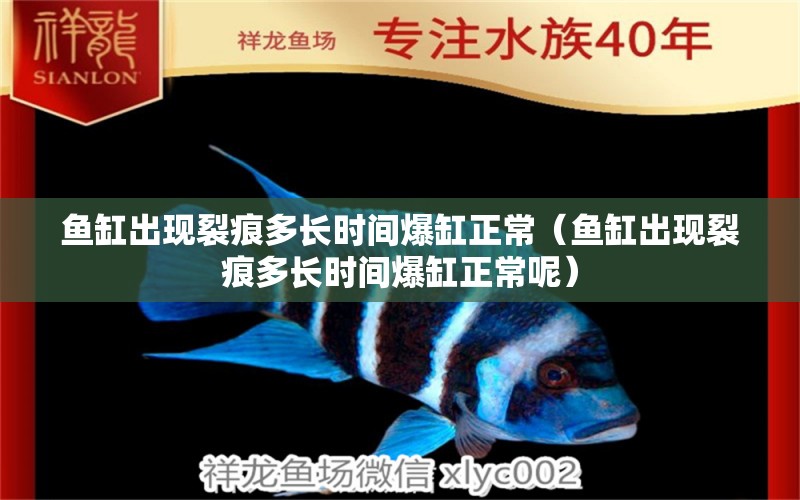 魚缸出現(xiàn)裂痕多長時間爆缸正常（魚缸出現(xiàn)裂痕多長時間爆缸正常呢）