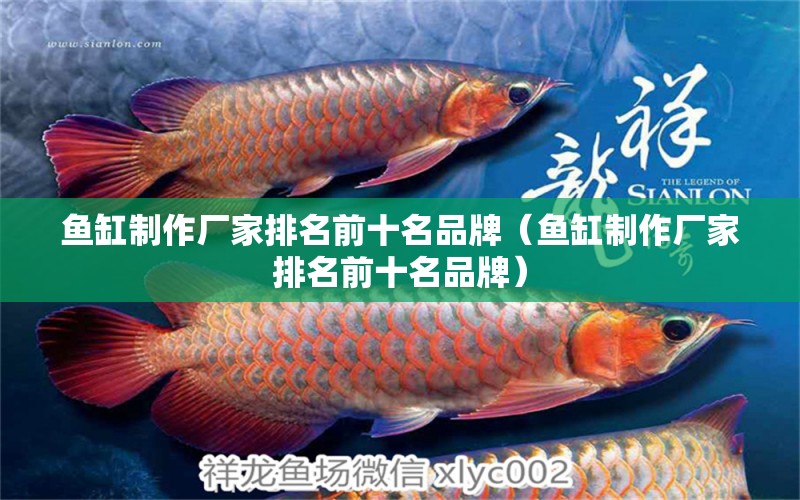 魚缸制作廠家排名前十名品牌（魚缸制作廠家排名前十名品牌） 觀賞魚批發(fā)