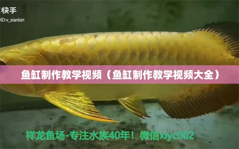 魚缸制作教學(xué)視頻（魚缸制作教學(xué)視頻大全） 其他品牌魚缸