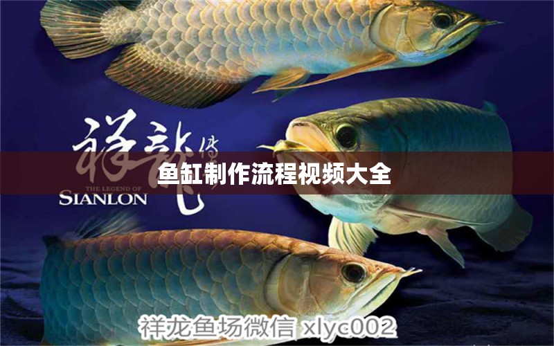 魚缸制作流程視頻大全  刀魚魚