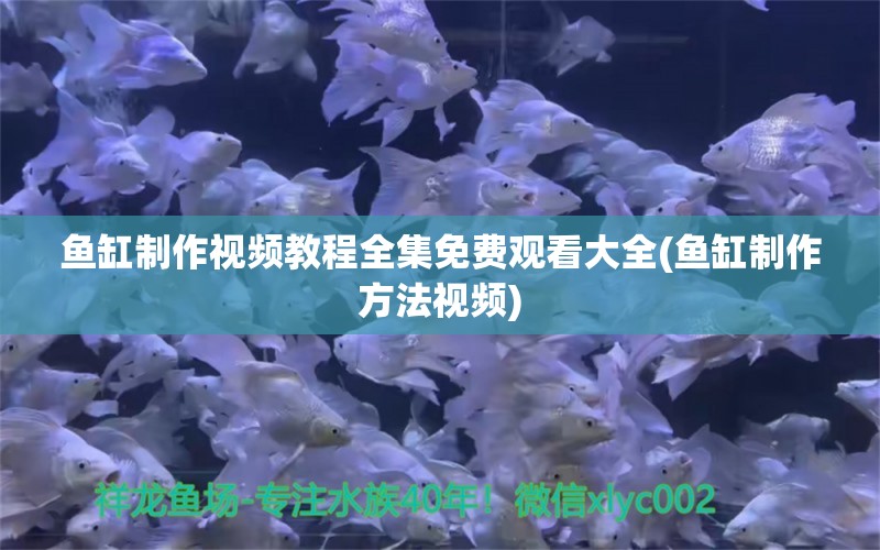 魚缸制作視頻教程全集免費(fèi)觀看大全(魚缸制作方法視頻)