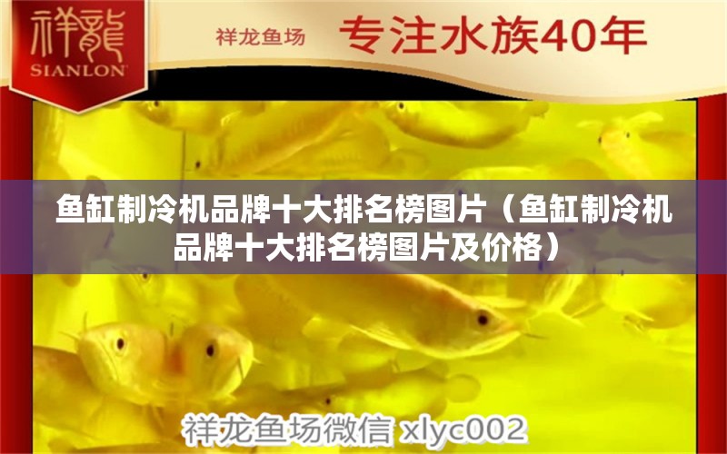 魚缸制冷機(jī)品牌十大排名榜圖片（魚缸制冷機(jī)品牌十大排名榜圖片及價(jià)格）