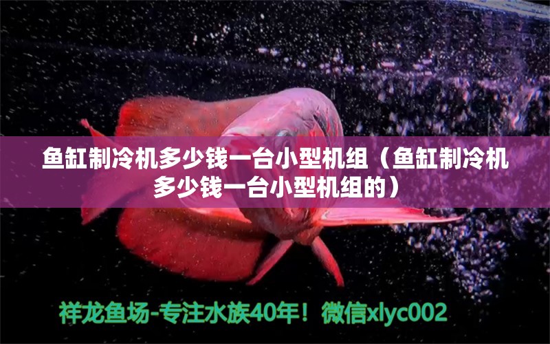 魚(yú)缸制冷機(jī)多少錢(qián)一臺(tái)小型機(jī)組（魚(yú)缸制冷機(jī)多少錢(qián)一臺(tái)小型機(jī)組的）