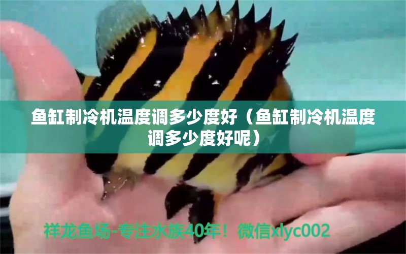 魚(yú)缸制冷機(jī)溫度調(diào)多少度好（魚(yú)缸制冷機(jī)溫度調(diào)多少度好呢）