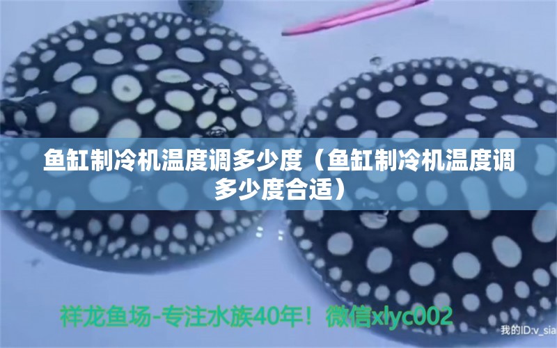 魚(yú)缸制冷機(jī)溫度調(diào)多少度（魚(yú)缸制冷機(jī)溫度調(diào)多少度合適）