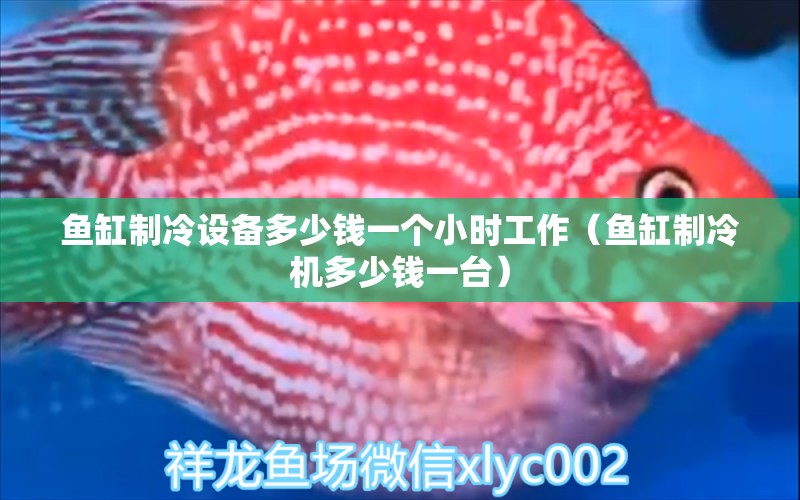 魚(yú)缸制冷設(shè)備多少錢(qián)一個(gè)小時(shí)工作（魚(yú)缸制冷機(jī)多少錢(qián)一臺(tái)）