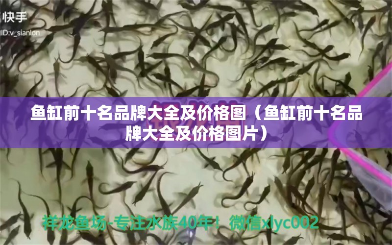 魚缸前十名品牌大全及價格圖（魚缸前十名品牌大全及價格圖片） 其他品牌魚缸