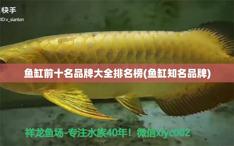 魚缸前十名品牌大全排名榜(魚缸知名品牌) 水族維護(hù)服務(wù)（上門） 第1張