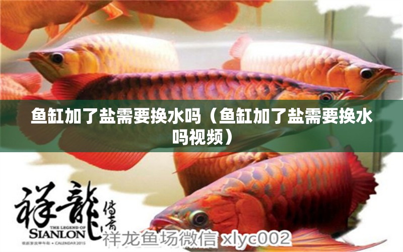 魚缸加了鹽需要換水嗎（魚缸加了鹽需要換水嗎視頻） 養(yǎng)魚的好處