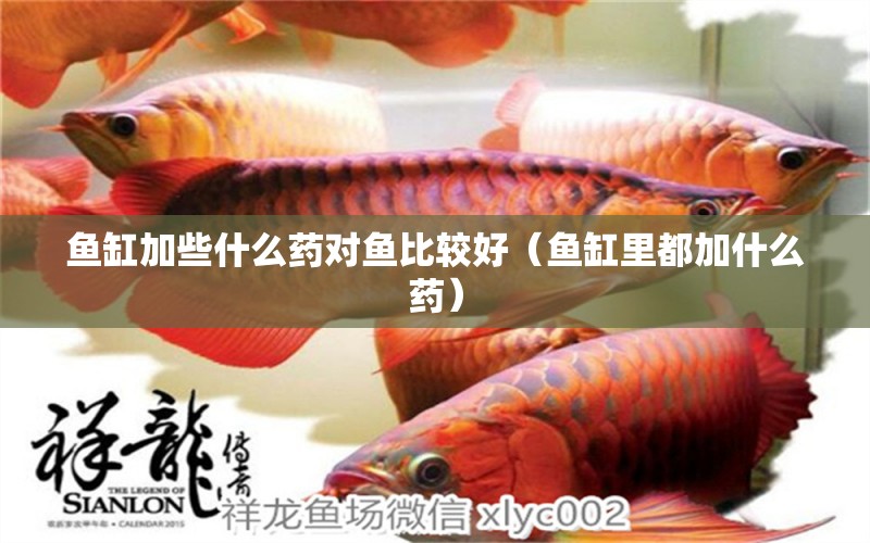 魚缸加些什么藥對魚比較好（魚缸里都加什么藥） 廣州觀賞魚批發(fā)市場