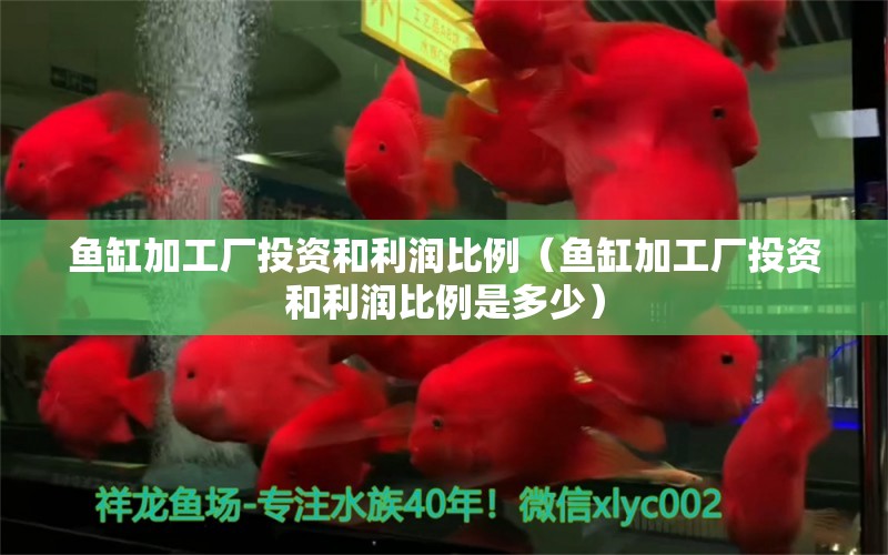 魚缸加工廠投資和利潤比例（魚缸加工廠投資和利潤比例是多少） 祥龍水族醫(yī)院