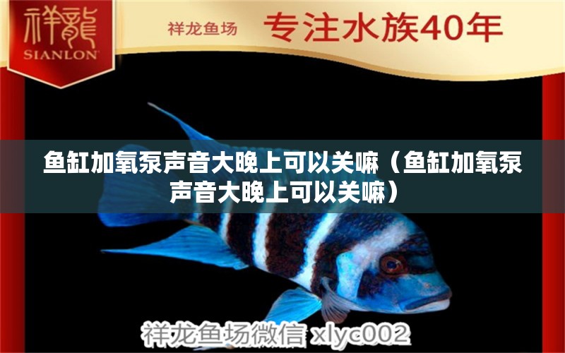 魚缸加氧泵聲音大晚上可以關(guān)嘛（魚缸加氧泵聲音大晚上可以關(guān)嘛）