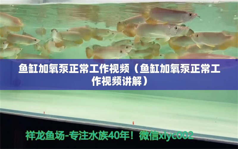 魚缸加氧泵正常工作視頻（魚缸加氧泵正常工作視頻講解）