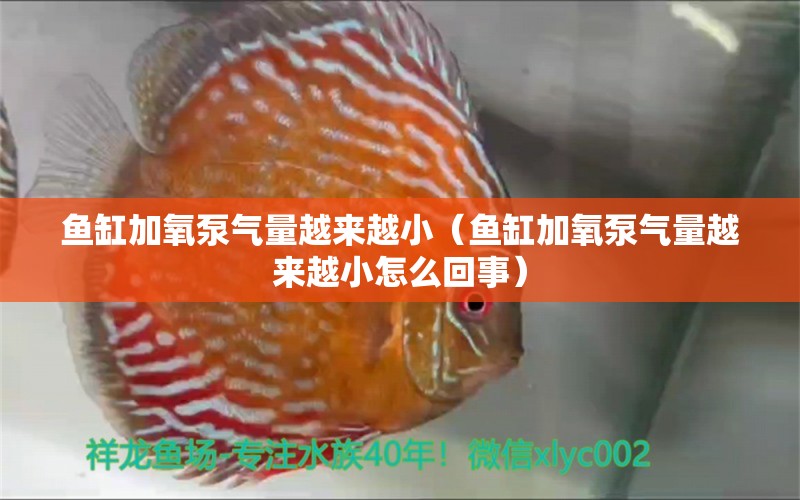 魚缸加氧泵氣量越來越?。~缸加氧泵氣量越來越小怎么回事）