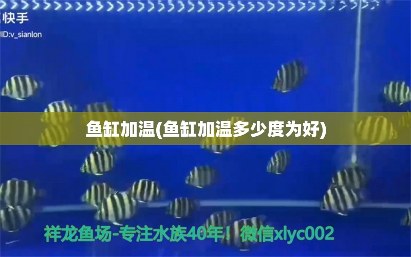 魚缸加溫(魚缸加溫多少度為好)