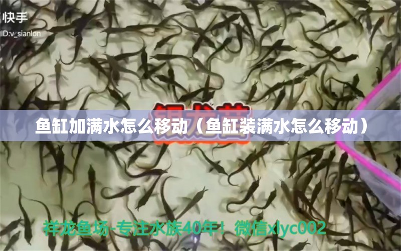 魚缸加滿水怎么移動(dòng)（魚缸裝滿水怎么移動(dòng)）