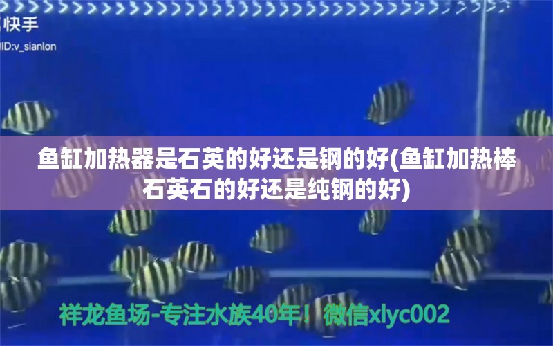 魚(yú)缸加熱器是石英的好還是鋼的好(魚(yú)缸加熱棒石英石的好還是純鋼的好)