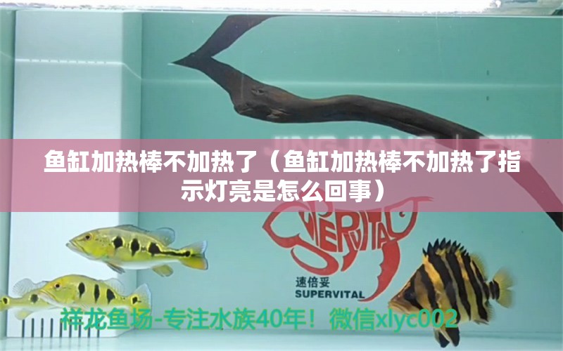 魚(yú)缸加熱棒不加熱了（魚(yú)缸加熱棒不加熱了指示燈亮是怎么回事） 沖氧泵